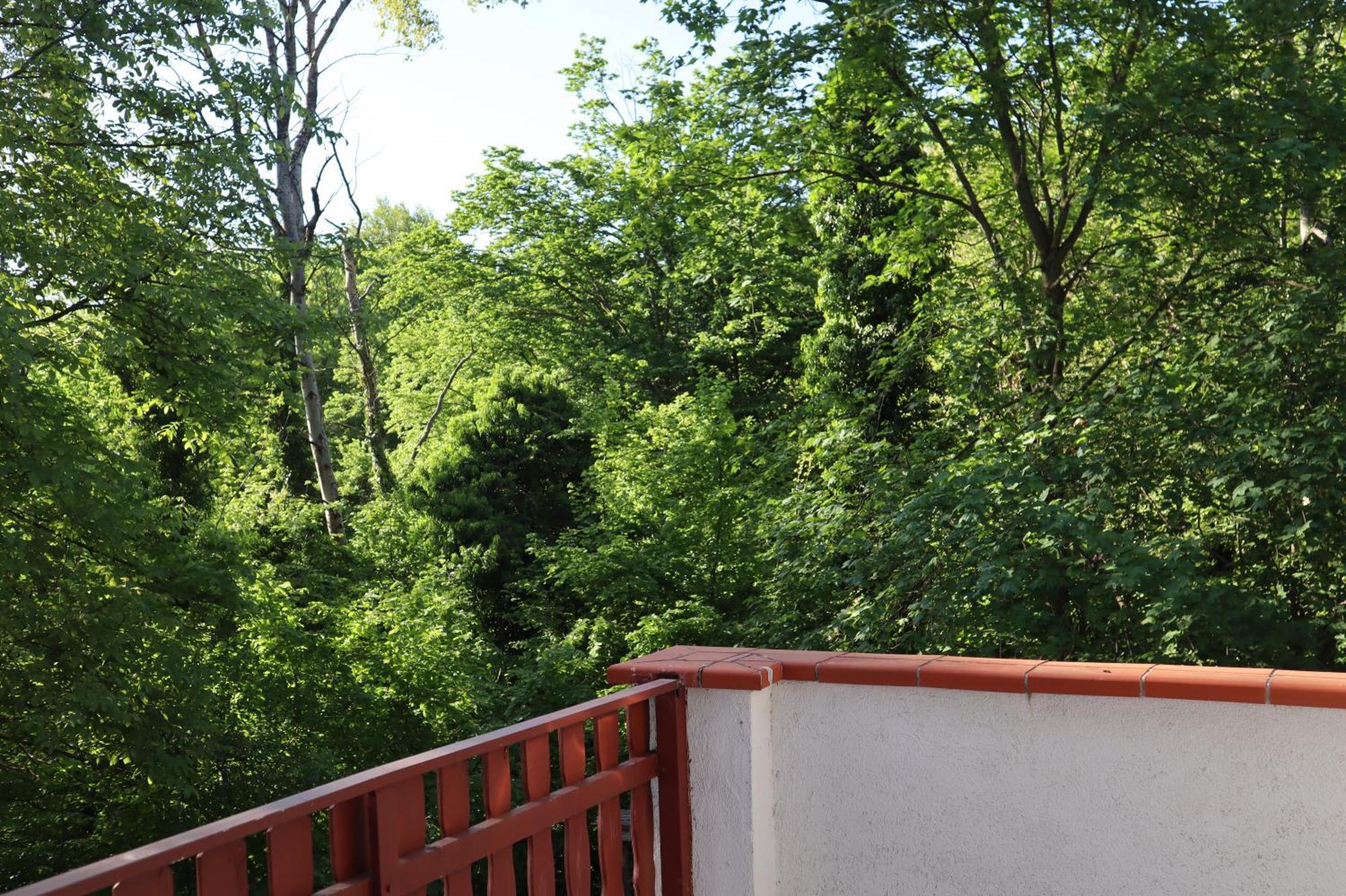 Madarles Vendeghaz Villa Abaliget Dış mekan fotoğraf